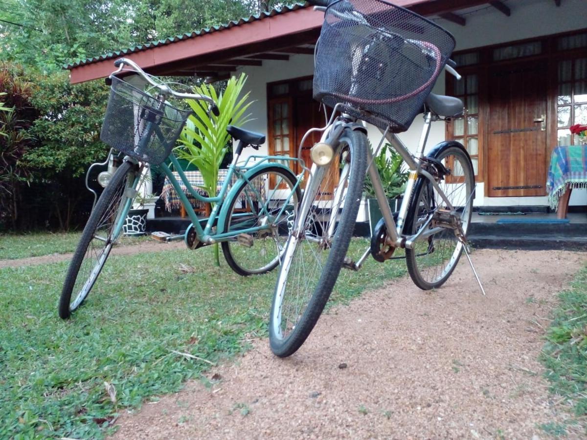 Sigiri Shen Residence Sigiriya Exterior foto