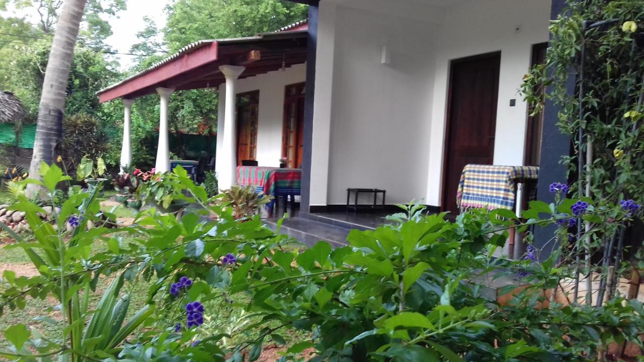 Sigiri Shen Residence Sigiriya Exterior foto