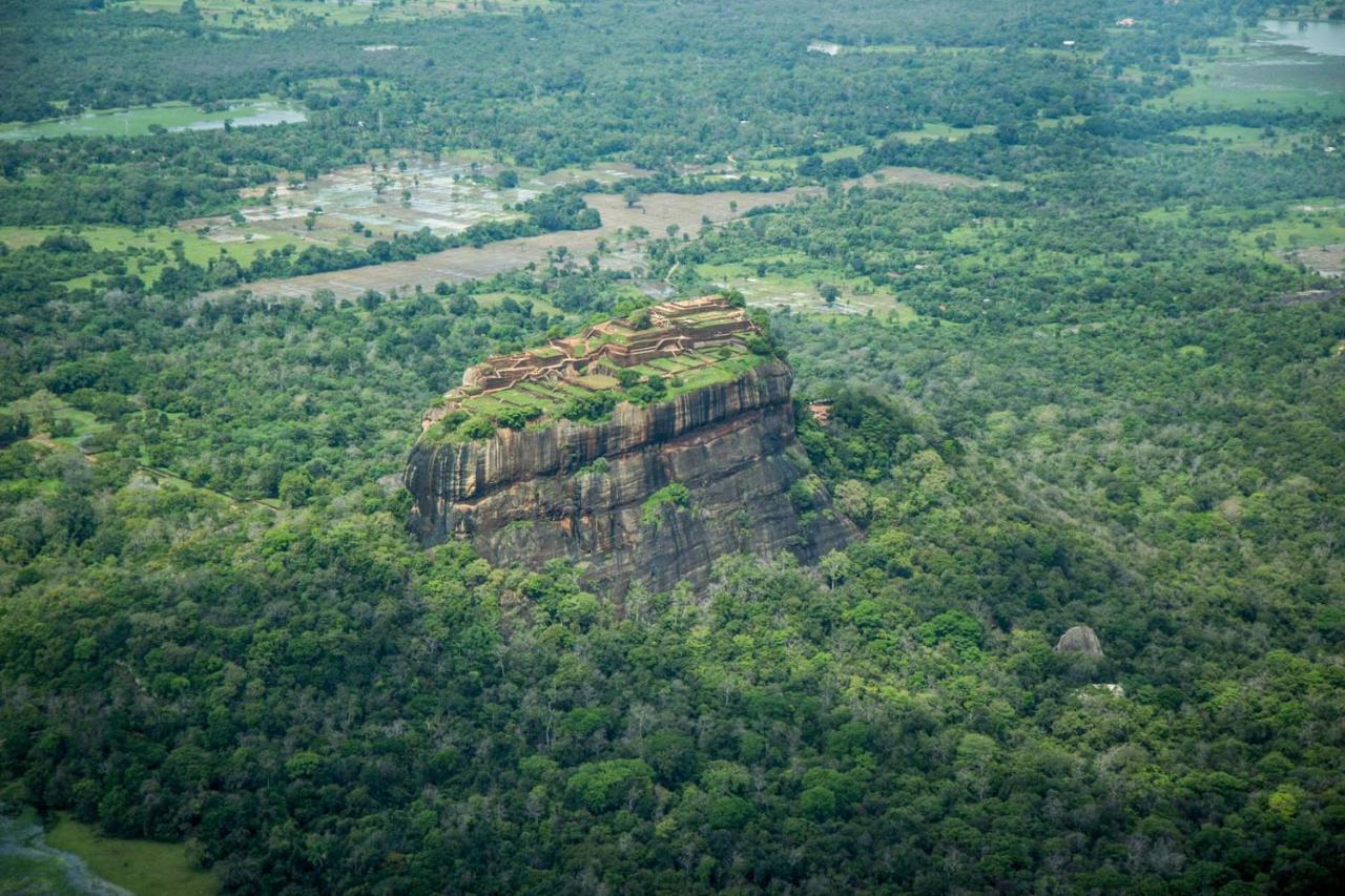 Sigiri Shen Residence Sigiriya Exterior foto