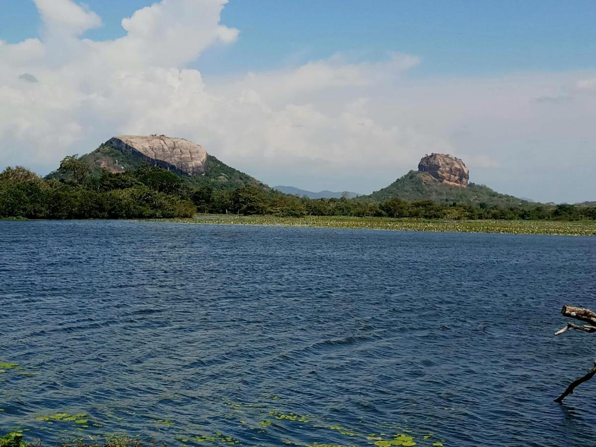 Sigiri Shen Residence Sigiriya Exterior foto
