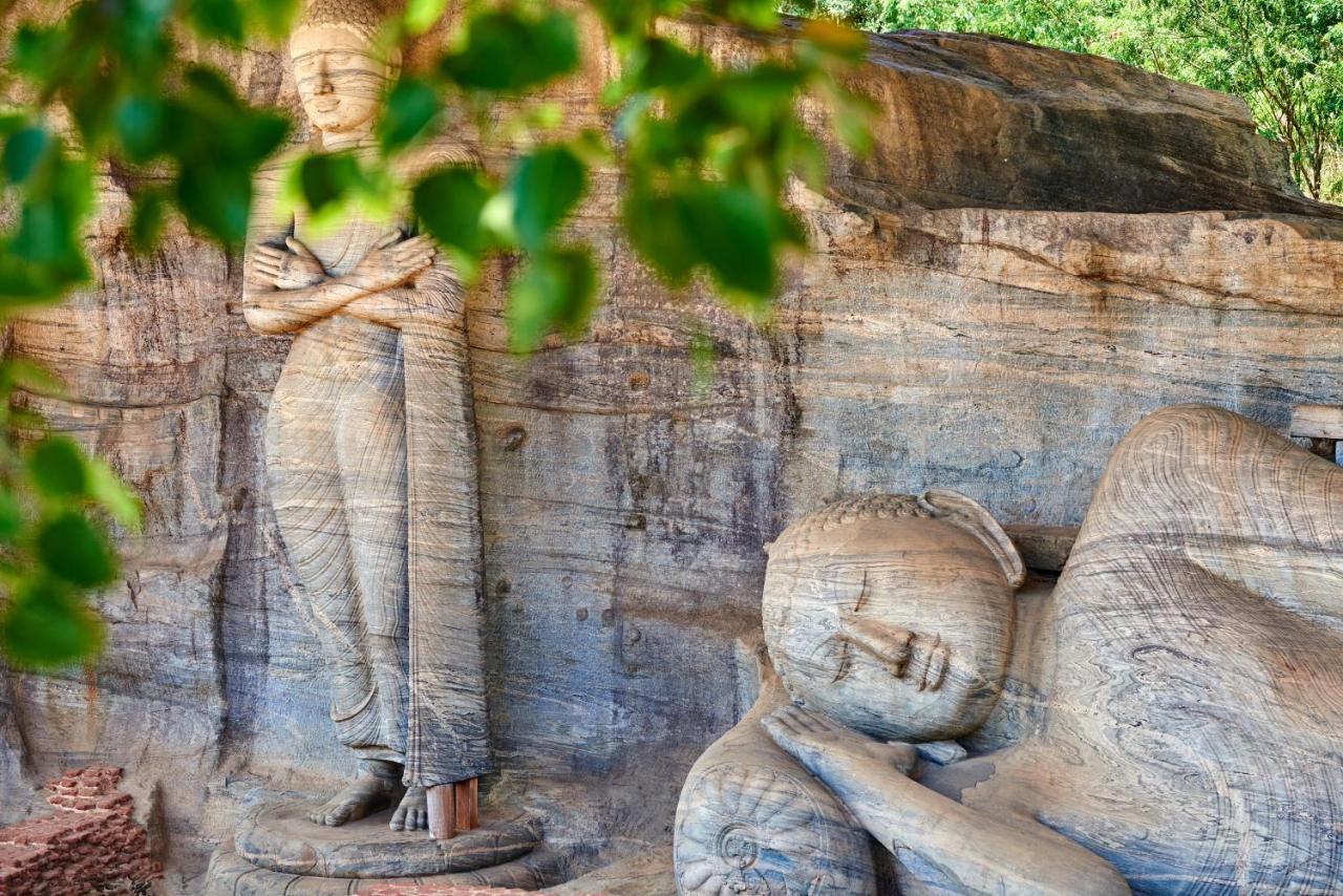 Sigiri Shen Residence Sigiriya Exterior foto